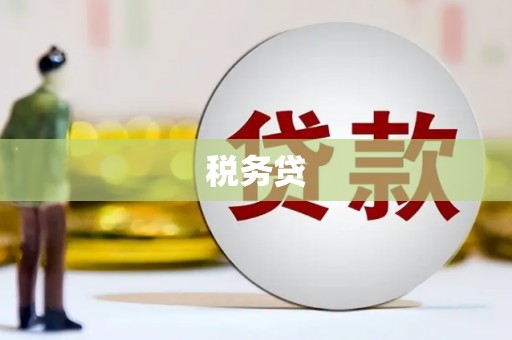 庆元税务贷
