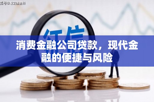 庆元消费金融公司贷款，现代金融的便捷与风险