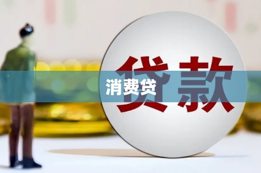 庆元消费贷