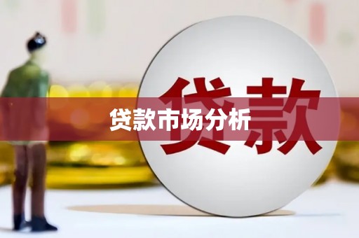 庆元贷款市场分析