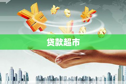 庆元贷款超市