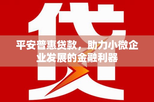 庆元平安普惠贷款，助力小微企业发展的金融利器