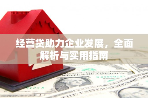 庆元经营贷助力企业发展，全面解析与实用指南
