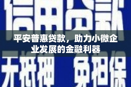 庆元平安普惠贷款，助力小微企业发展的金融利器