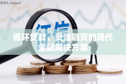 庆元循环贷款，灵活融资的现代金融解决方案