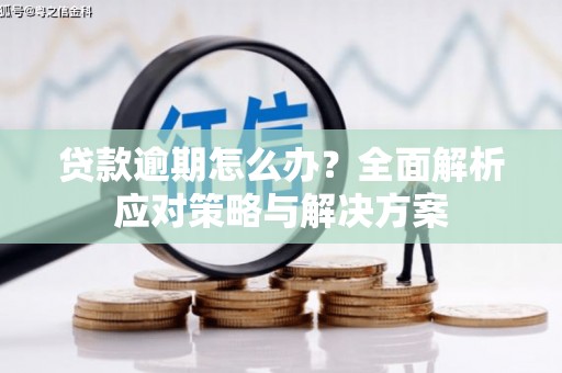 庆元贷款逾期怎么办？全面解析应对策略与解决方案