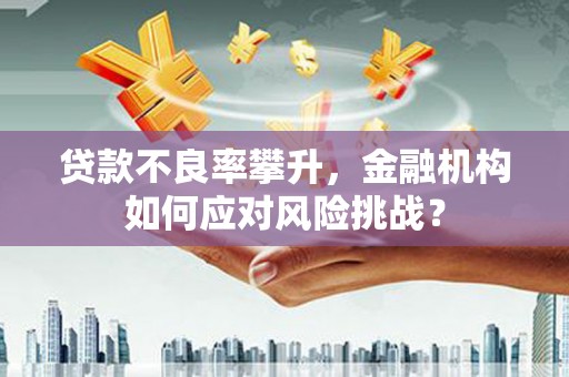 庆元贷款不良率攀升，金融机构如何应对风险挑战？