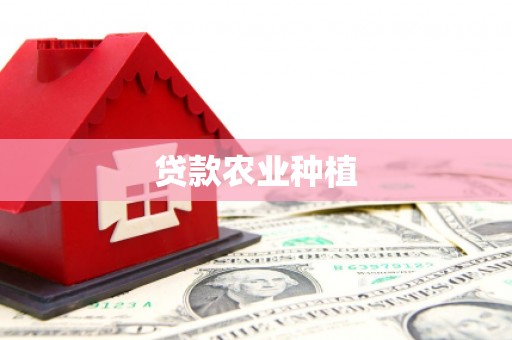 庆元贷款农业种植