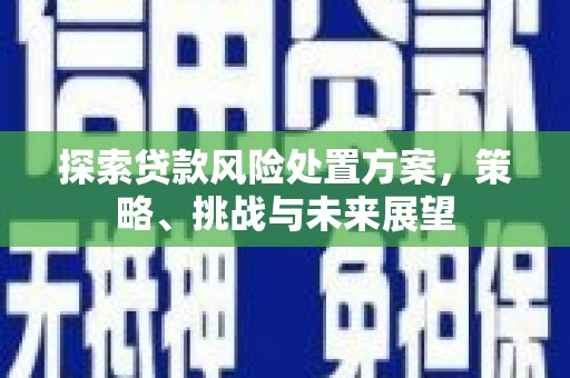 庆元探索贷款风险处置方案，策略、挑战与未来展望