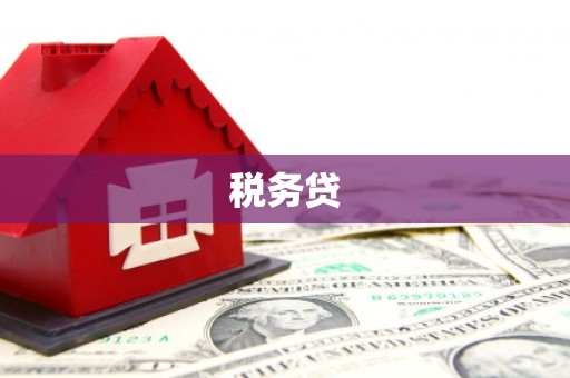 庆元税务贷