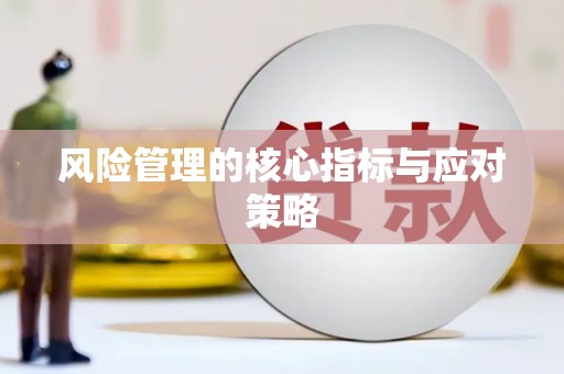 庆元风险管理的核心指标与应对策略