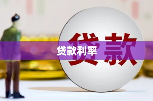 庆元贷款利率