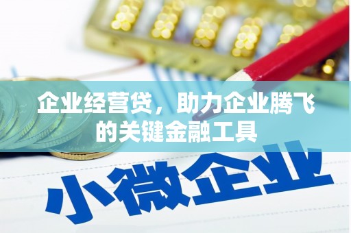 庆元企业经营贷，助力企业腾飞的关键金融工具