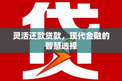 庆元灵活还款贷款，现代金融的智慧选择
