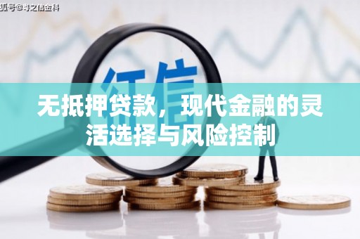 庆元无抵押贷款，现代金融的灵活选择与风险控制
