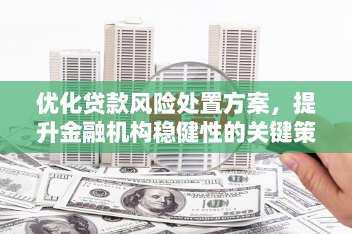 庆元优化贷款风险处置方案，提升金融机构稳健性的关键策略