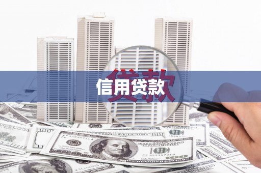 庆元信用贷款