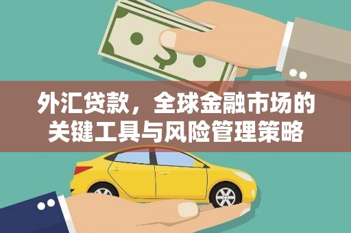庆元外汇贷款，全球金融市场的关键工具与风险管理策略