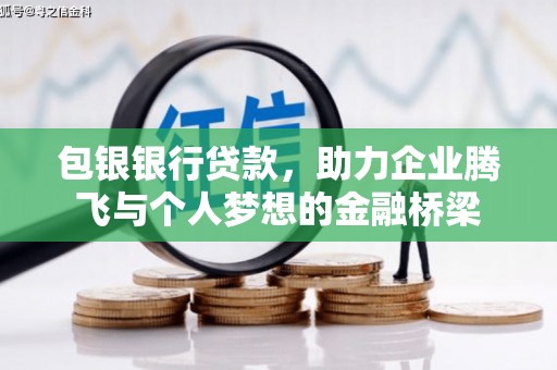 庆元包银银行贷款，助力企业腾飞与个人梦想的金融桥梁