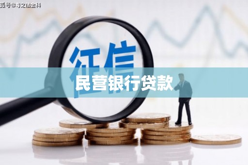 庆元民营银行贷款