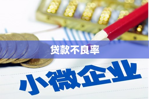庆元贷款不良率