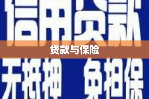庆元贷款与保险