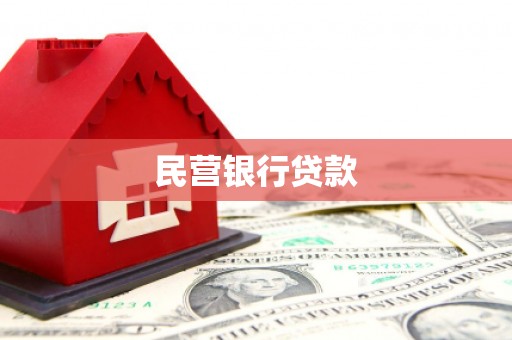 庆元民营银行贷款