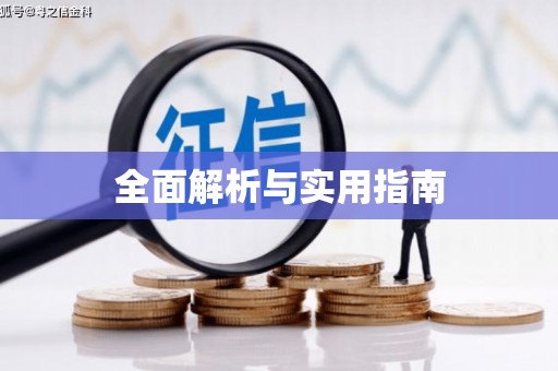 庆元全面解析与实用指南