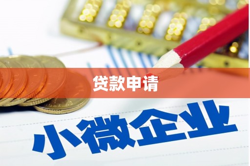 庆元贷款申请