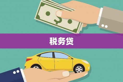 庆元税务贷