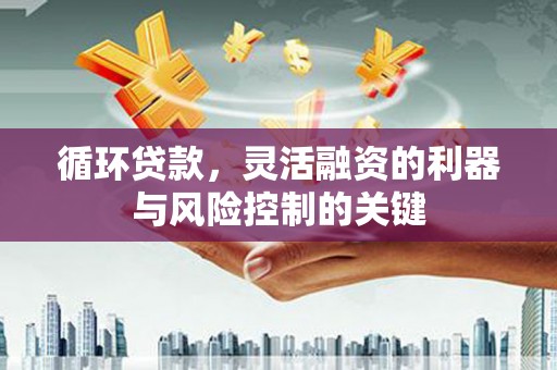 庆元循环贷款，灵活融资的利器与风险控制的关键