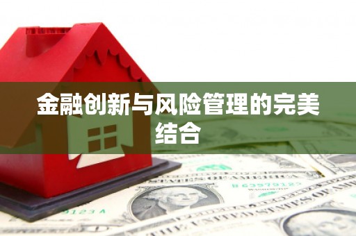 庆元金融创新与风险管理的完美结合