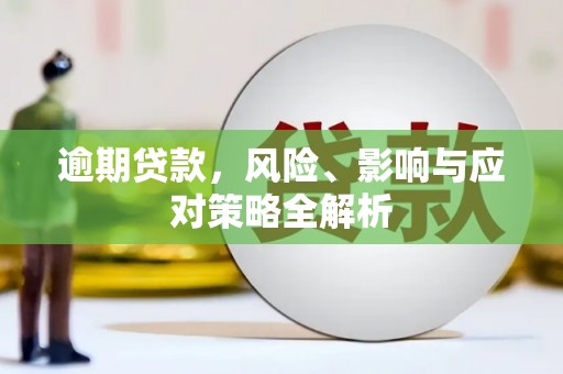庆元逾期贷款，风险、影响与应对策略全解析