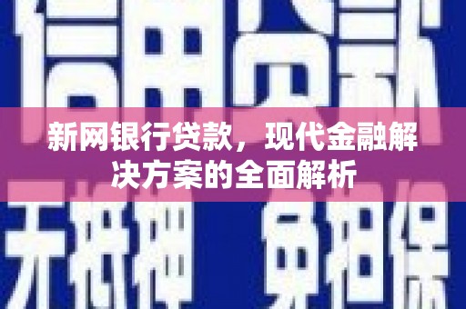 庆元新网银行贷款，现代金融解决方案的全面解析