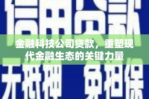 庆元金融科技公司贷款，重塑现代金融生态的关键力量