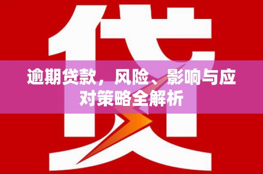 庆元逾期贷款，风险、影响与应对策略全解析