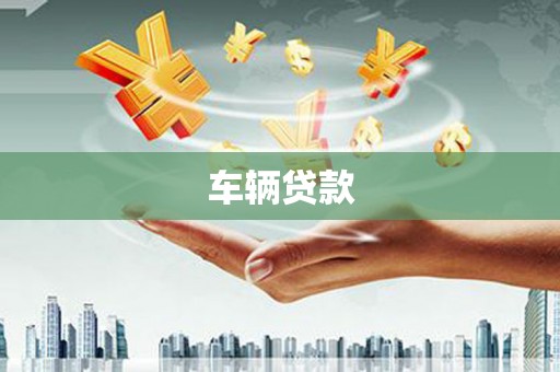 庆元车辆贷款