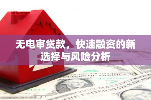庆元无电审贷款，快速融资的新选择与风险分析