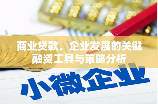 庆元商业贷款，企业发展的关键融资工具与策略分析