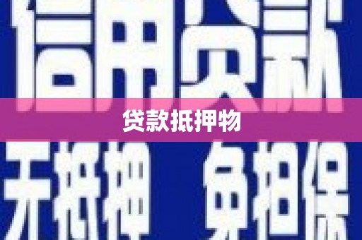 庆元贷款抵押物