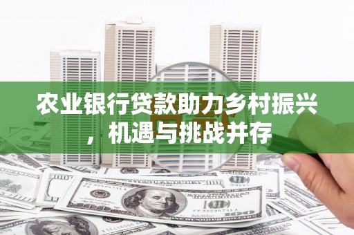 庆元农业银行贷款助力乡村振兴，机遇与挑战并存