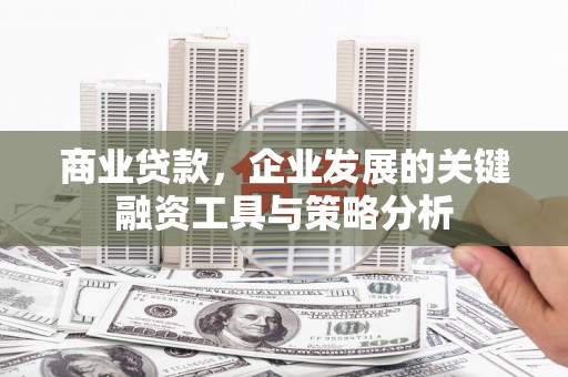 庆元商业贷款，企业发展的关键融资工具与策略分析