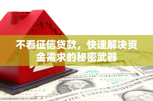 庆元不看征信贷款，快速解决资金需求的秘密武器
