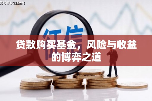 庆元贷款购买基金，风险与收益的博弈之道