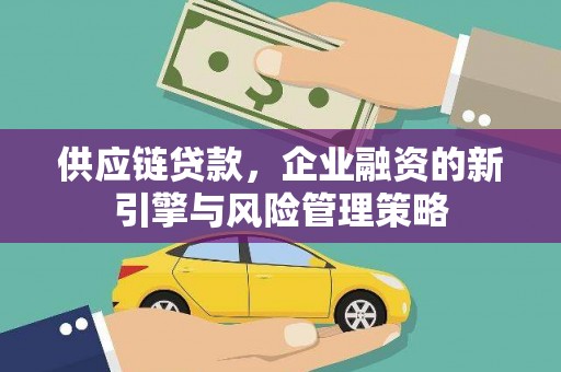 庆元供应链贷款，企业融资的新引擎与风险管理策略