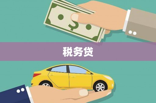 庆元税务贷