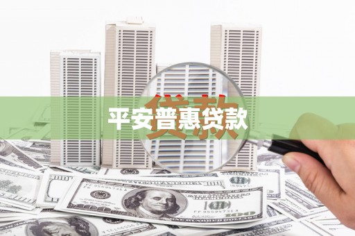 庆元平安普惠贷款