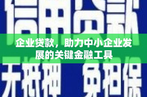 庆元企业贷款，助力中小企业发展的关键金融工具