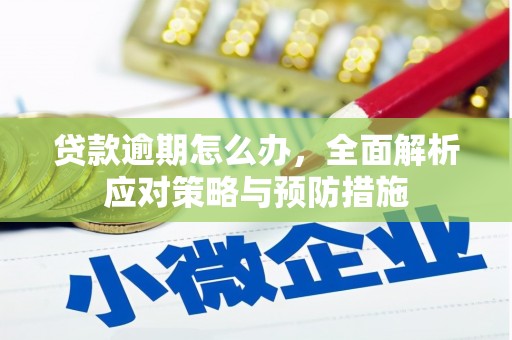 庆元贷款逾期怎么办，全面解析应对策略与预防措施