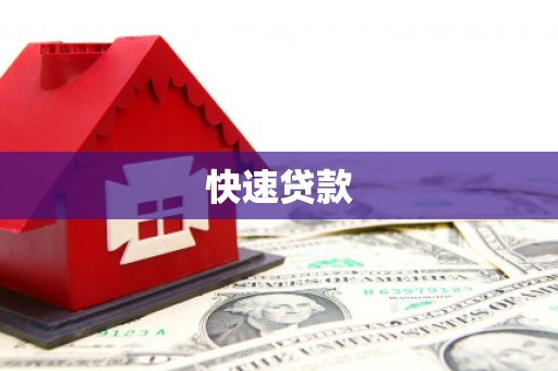 庆元快速贷款